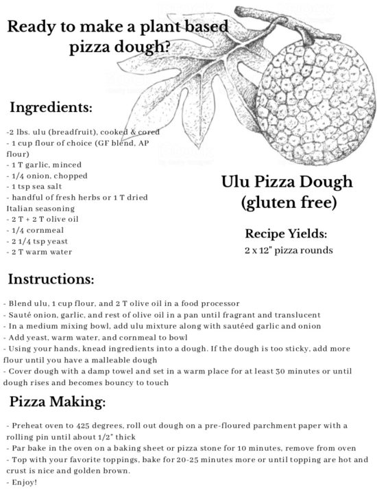 Ulu Pizza Dough Wilde Roots Provisions